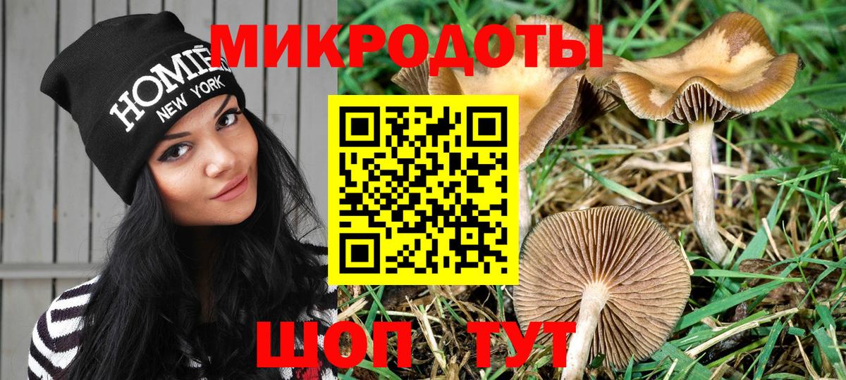 закладки  Галлюциногенные грибы MAGIC MUSHROOMS  Вход с VPN  Галлюциногенные грибы GOLDEN TEACHER  Екатеринбург 
