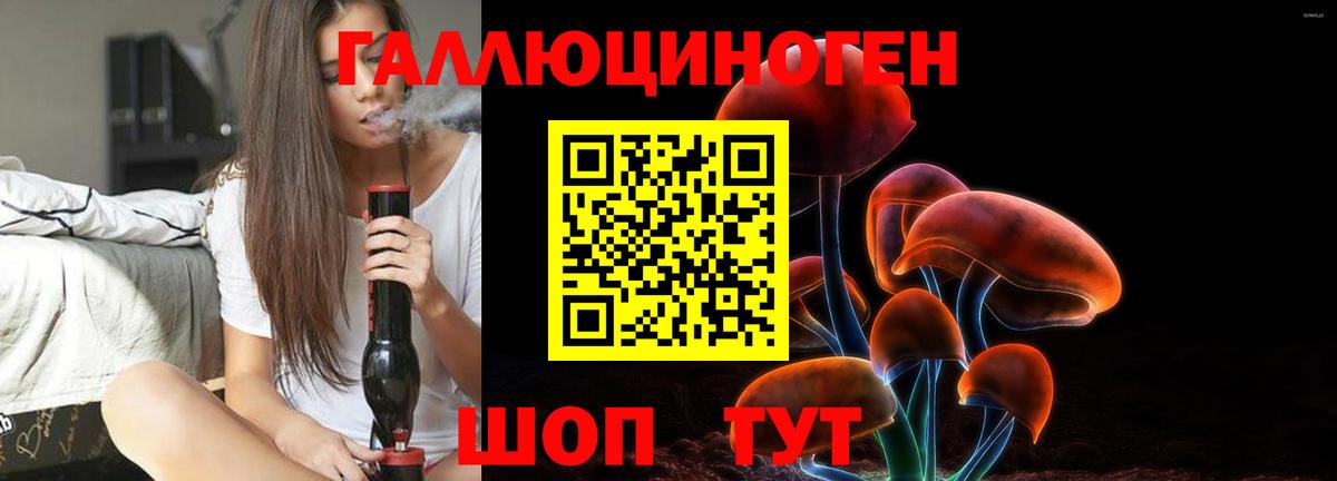 Галлюциногенные грибы Psilocybine cubensis Екатеринбург